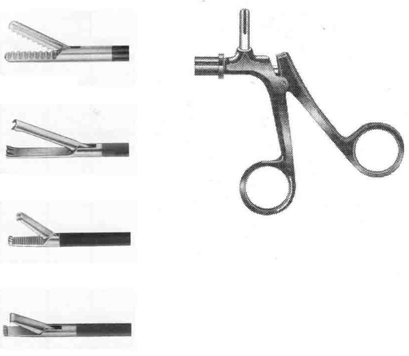 KISKAÇ AĞIZLI FORSEPS ÇAP  5 MM